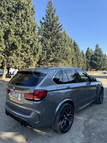 2015 BMW Dizel